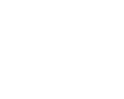 Zircom Logo